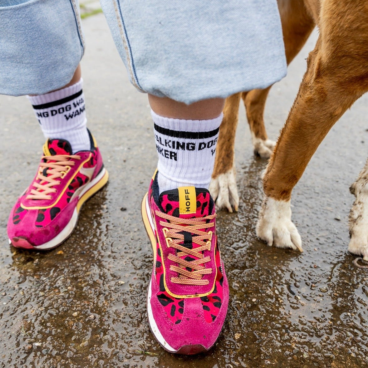 Dog walking Sox uk dog walking wanker funny socks rude socks funny gifts dogs