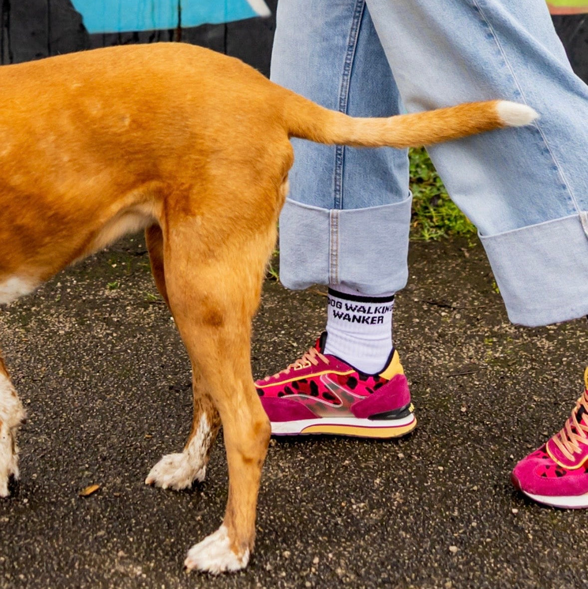Dog walking Sox uk dog walking wanker funny socks rude socks funny gifts dogs