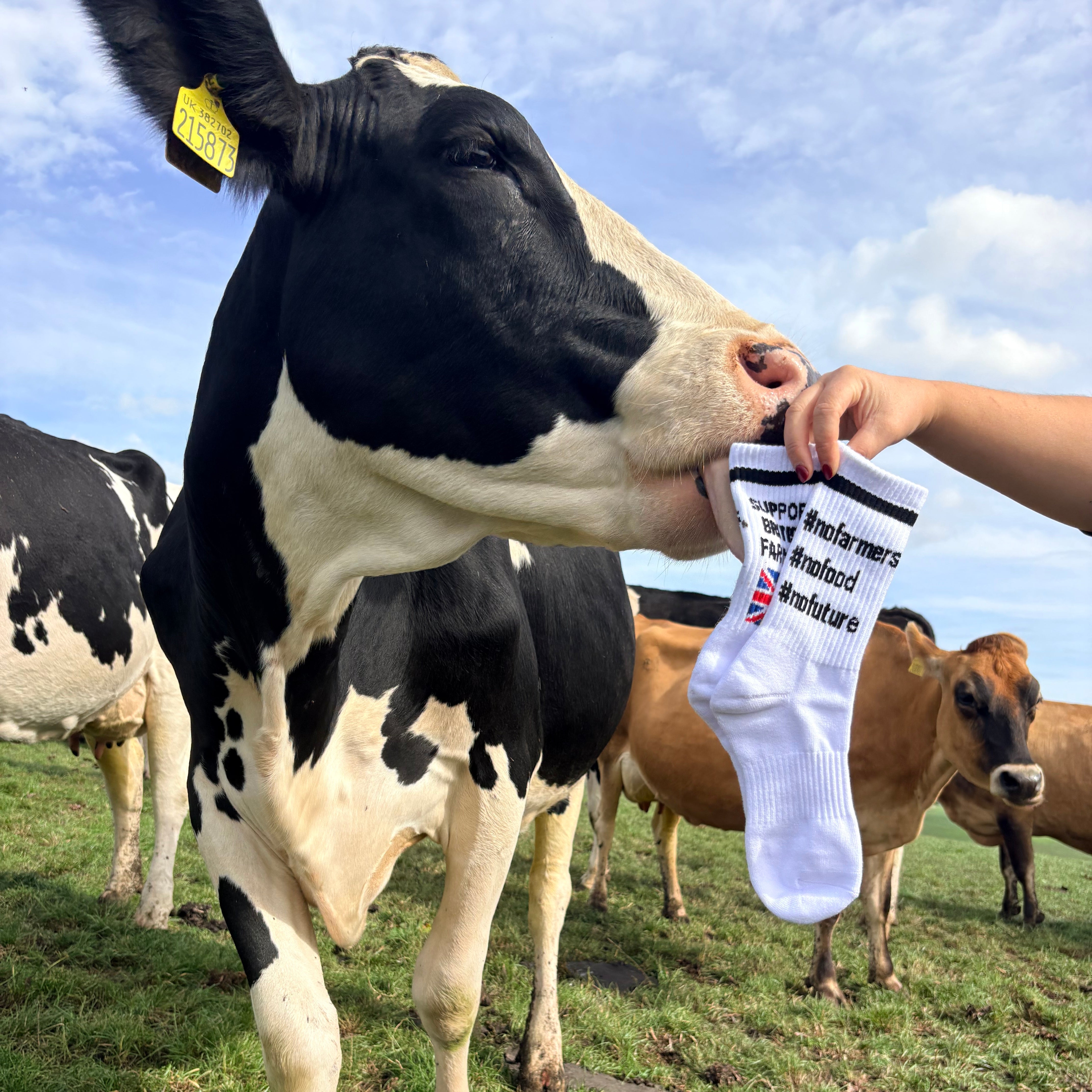 No farmers No Food No Future diddly squat farmers socks british farmers novelty socks farming agriculture Sox UK Official