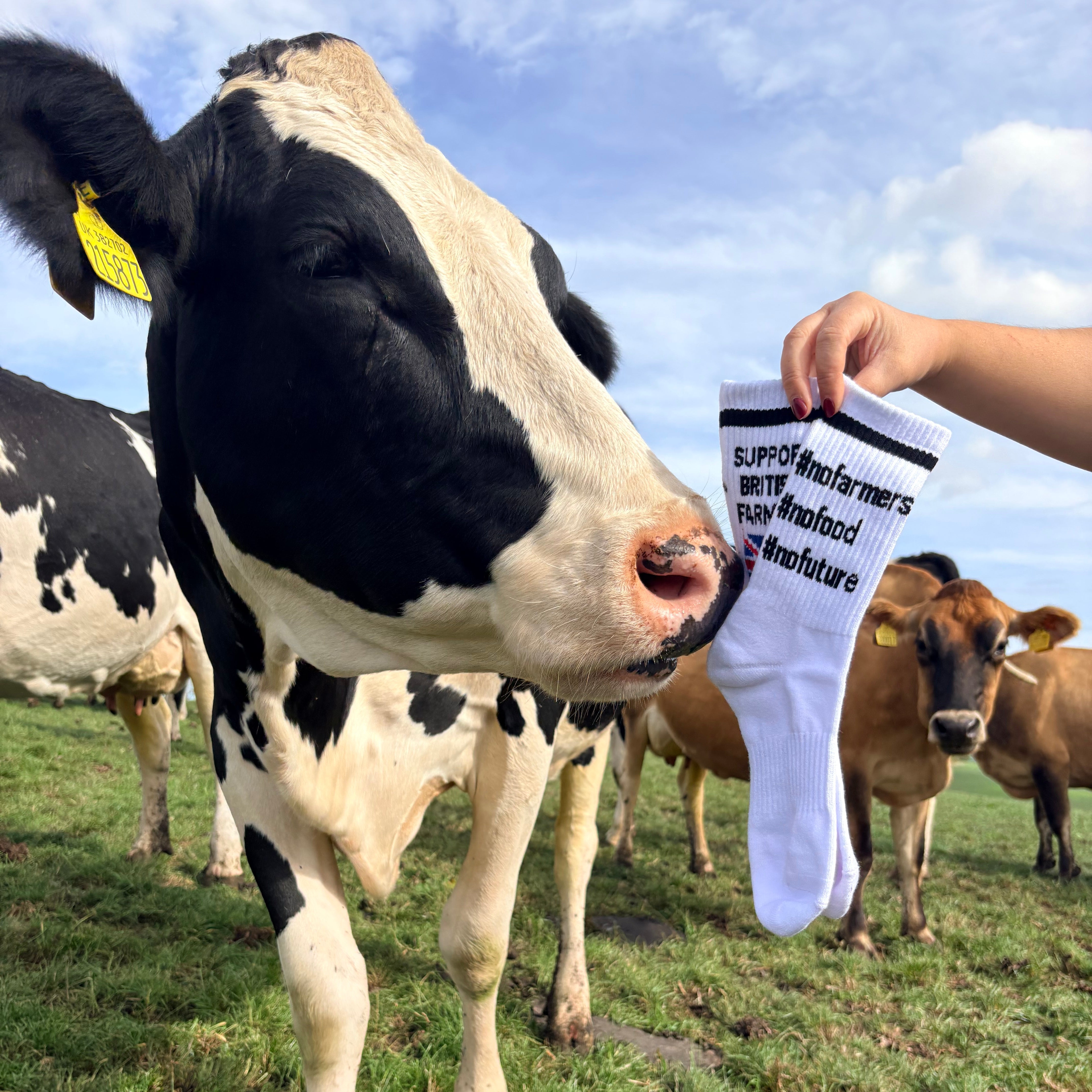 No farmers No Food No Future diddly squat farmers socks british farmers novelty socks farming agriculture Sox UK Official