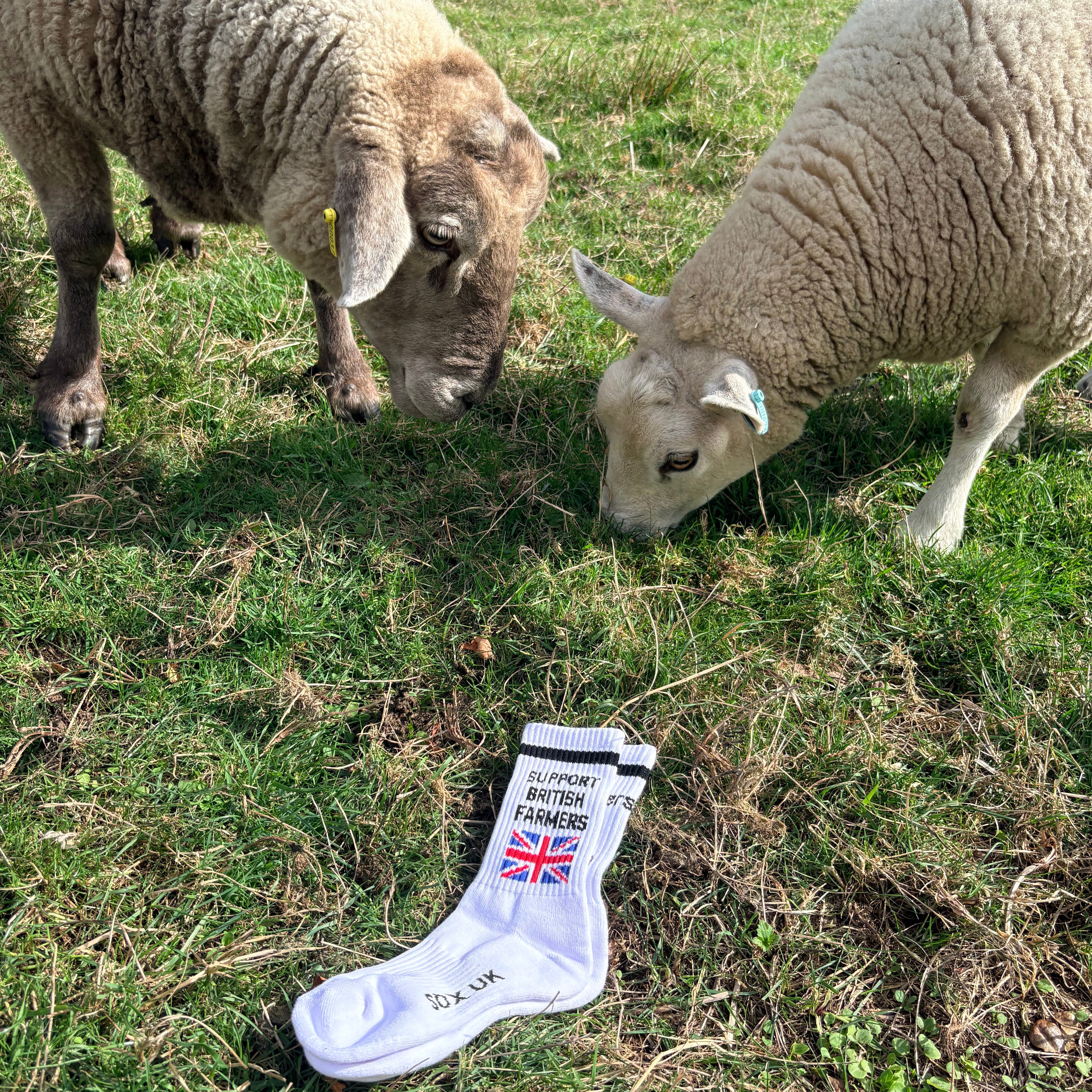 No farmers No Food No Future diddly squat farmers socks british farmers novelty socks farming agriculture Sox UK Official