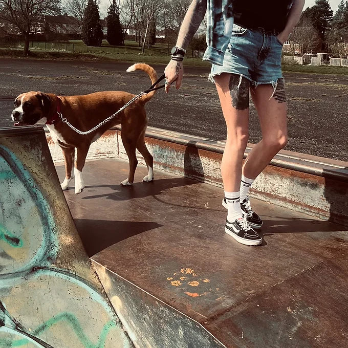 SHIT HAPPENS Socks - Sox UK